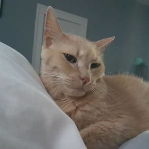 Meet your Posher, Vanessa